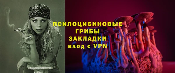 прущие грибы Богданович