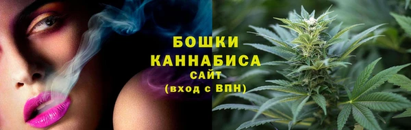 прущие грибы Богданович