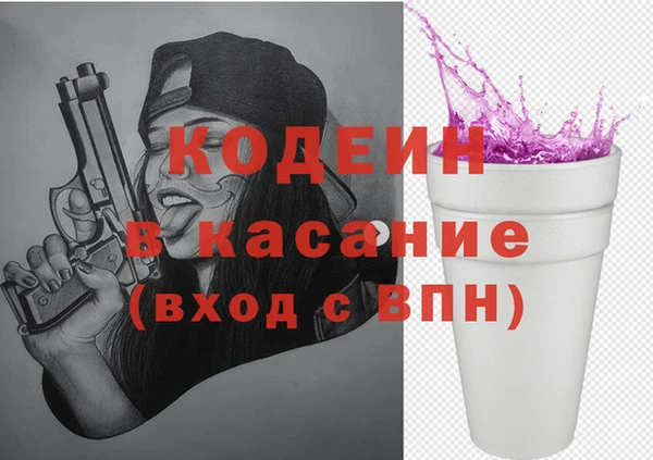 дурь Инсар