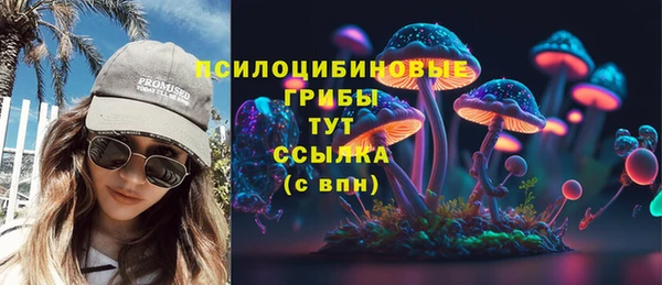 хмурый Козельск