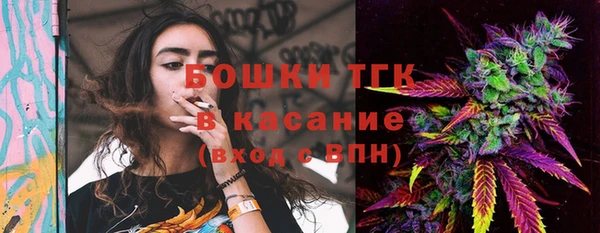 прущие грибы Богданович